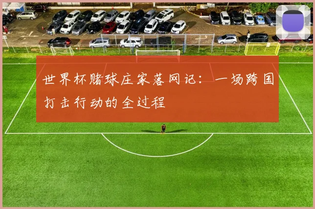 世界杯赌球庄家落网记：一场跨国打击行动的全过程